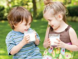 Khi nào nên cho trẻ uống sữa tươi và những điều bố mẹ cần biết
