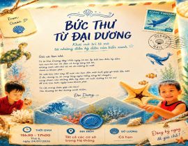 BỨC THƯ TỪ ĐẠI DƯƠNG | BÍ MẬT NÀO ĐANG CHỜ CÁC NHÀ THÁM HIỂM NHÍ?