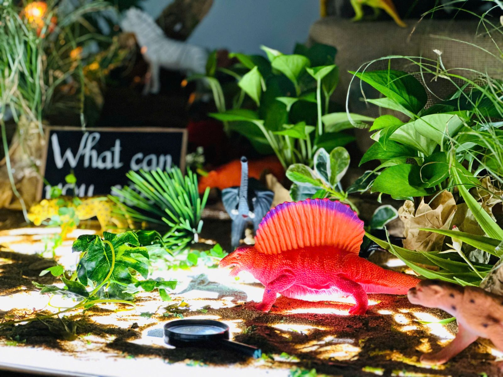 Môi trường học tập giàu cảm hứng tại SIK AEON Tân Phú