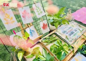 Nếu chiếc lá biết nói, chiếc lá sẽ kể điều gì? 