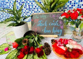 Tách cánh hoa - Khám phá điều kỳ diệu từ những điều nhỏ bé 